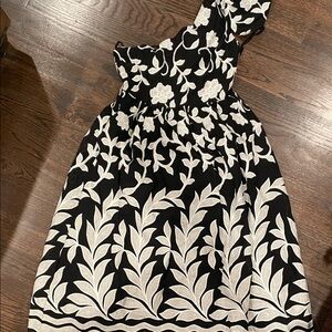 Anthropologie Black and White Dress